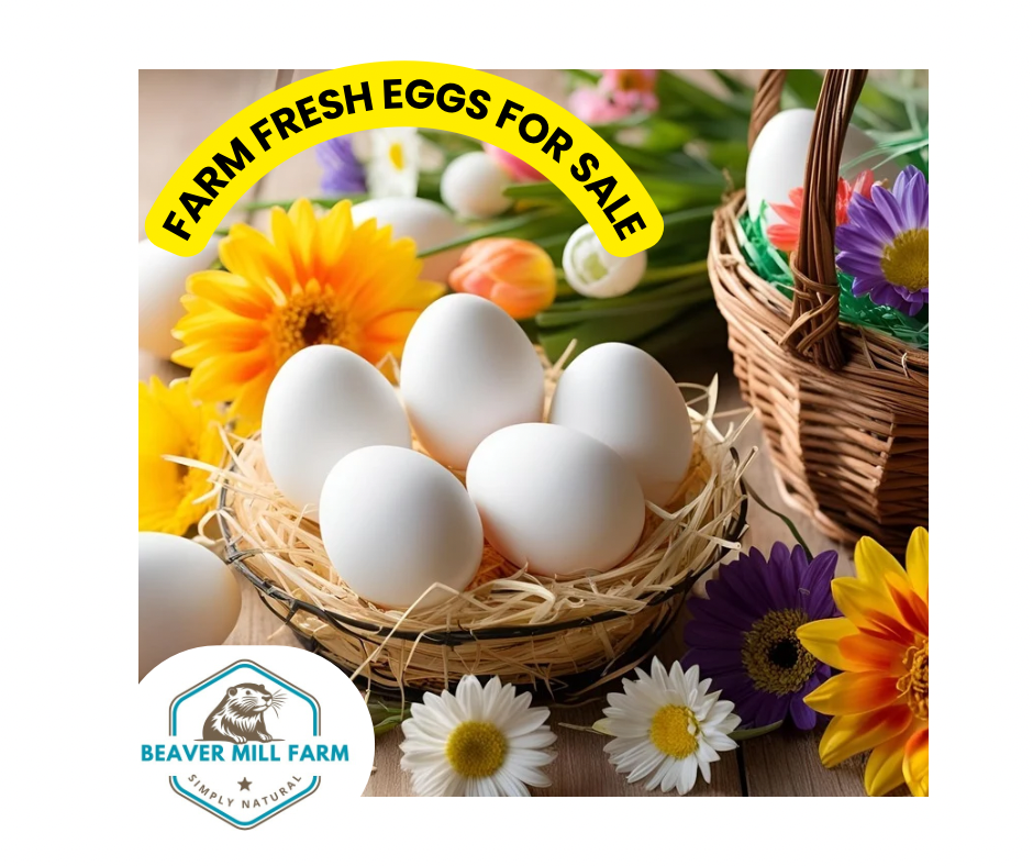 Farm Fresh Eggs - Local Pickup Only