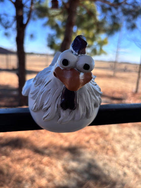 Charming Chicken Sitter