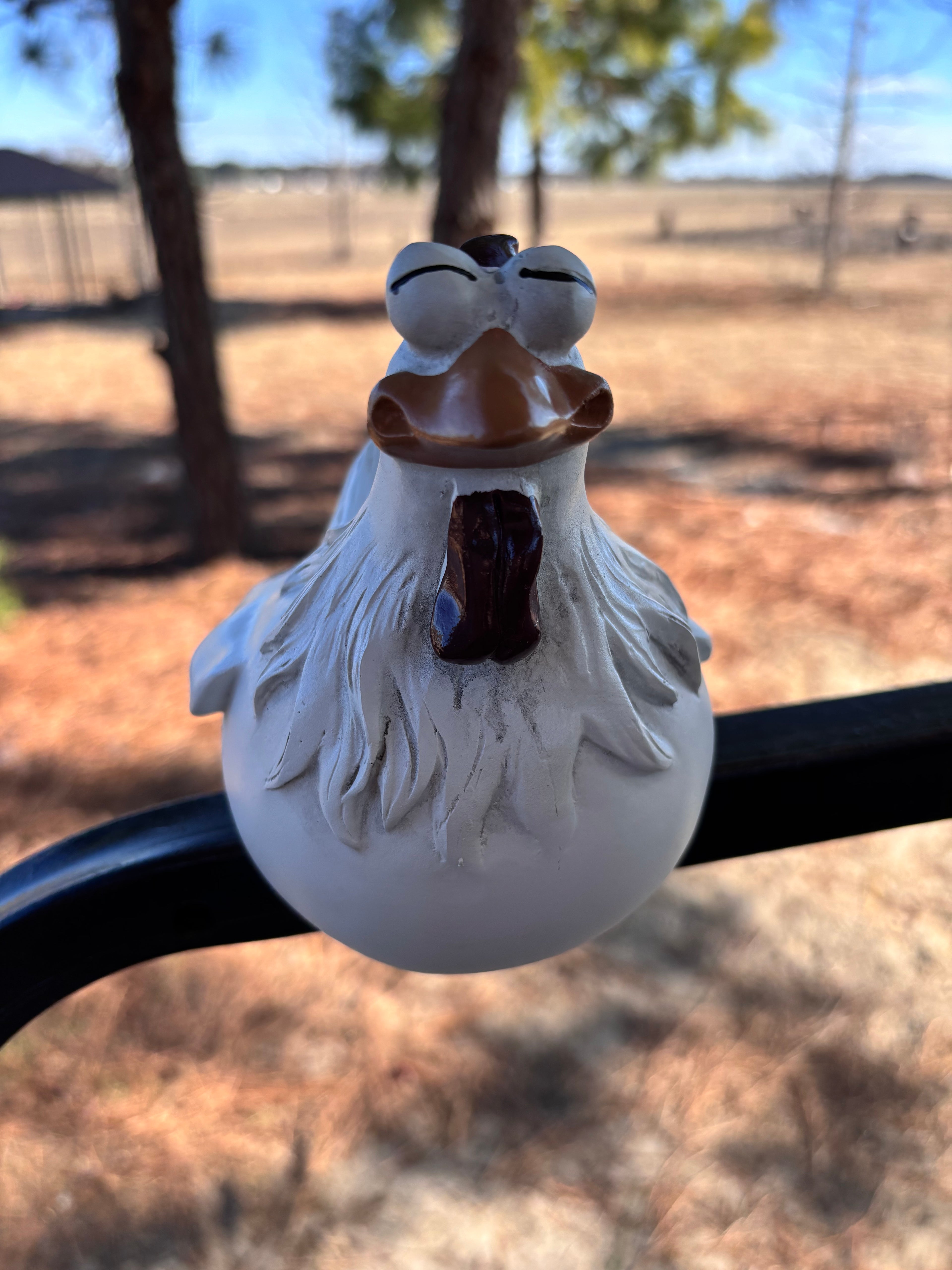 Charming Chicken Sitter