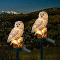 Solar Owl Garden Light - Outdoor Stake Light