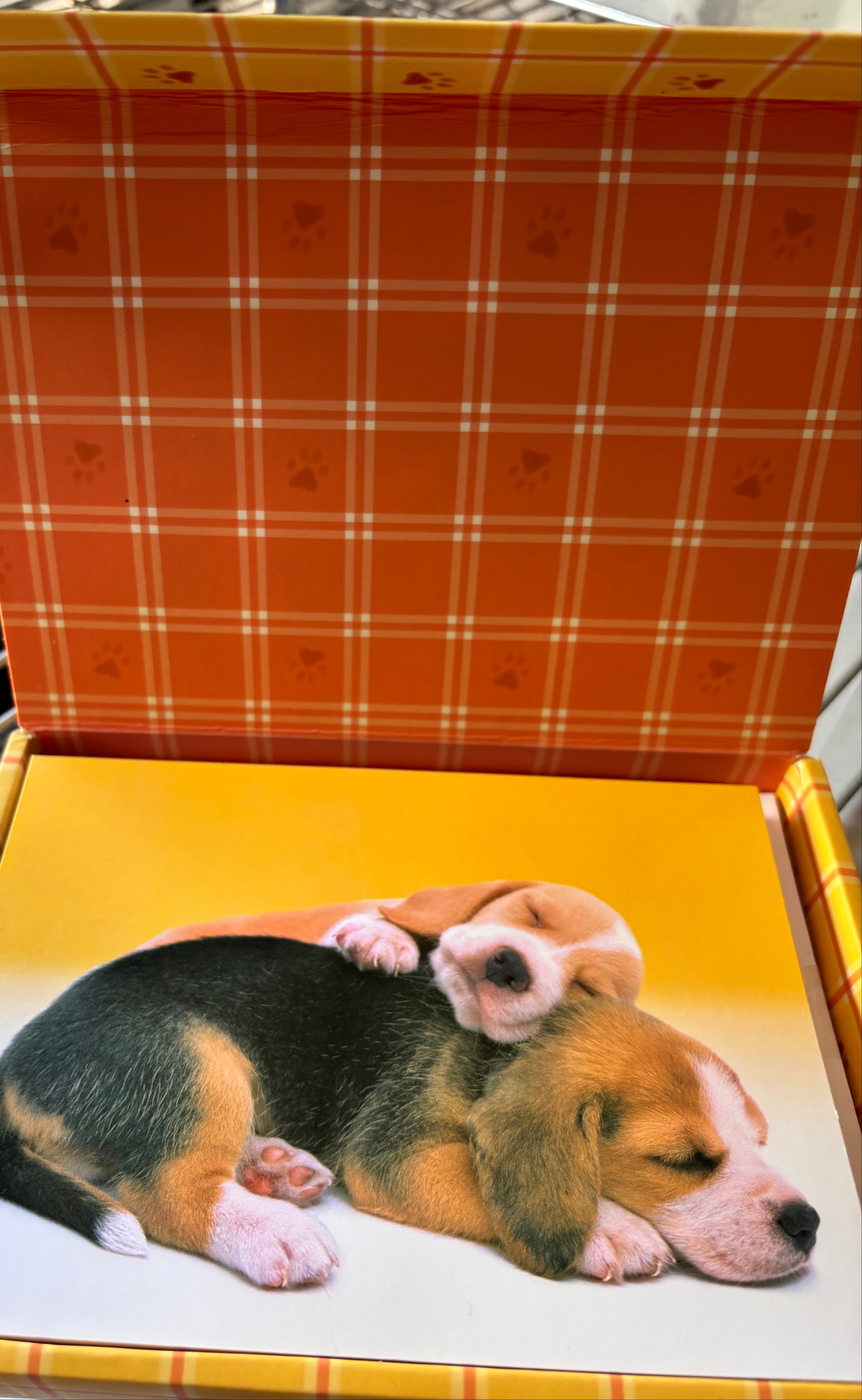 Adorable "Pooped Puppies" Notecard Set - 16 Cards