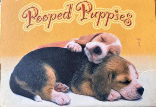 Adorable "Pooped Puppies" Notecard Set - 16 Cards